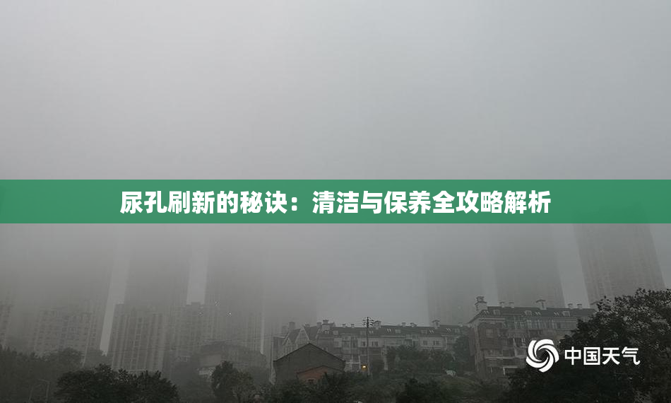 尿孔刷新的秘诀：清洁与保养全攻略解析