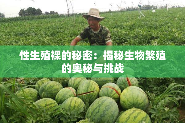 性生殖裸的秘密：揭秘生物繁殖的奥秘与挑战