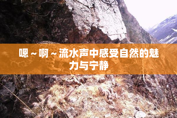 嗯～啊～流水声中感受自然的魅力与宁静