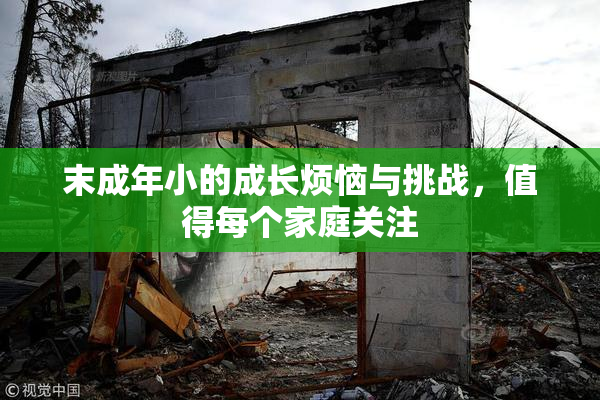 末成年小的成长烦恼与挑战，值得每个家庭关注