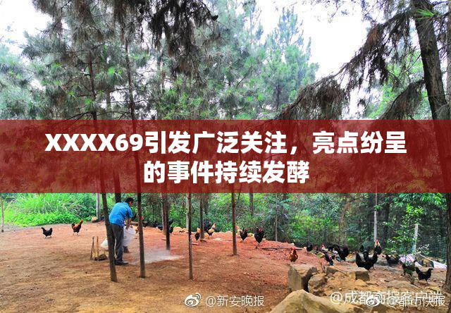 XXXX69引发广泛关注，亮点纷呈的事件持续发酵