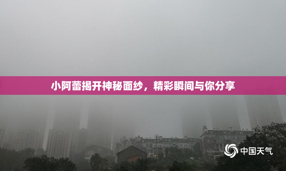 小阿蕾揭开神秘面纱，精彩瞬间与你分享
