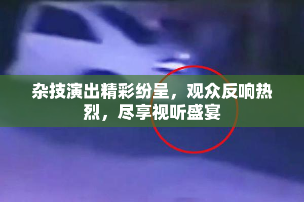 杂技演出精彩纷呈，观众反响热烈，尽享视听盛宴