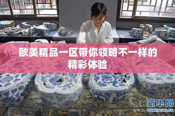 欧美精品一区带你领略不一样的精彩体验