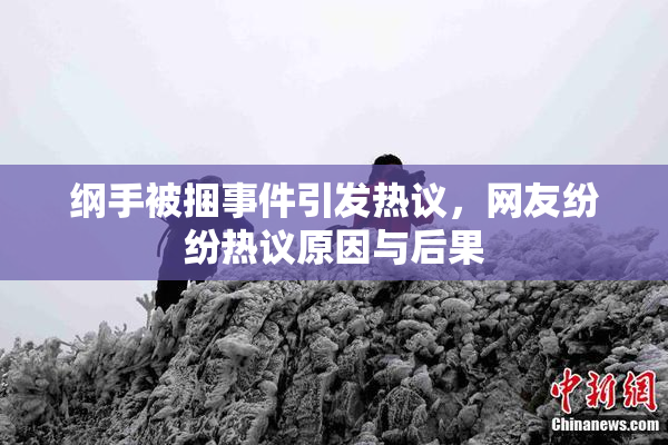 纲手被捆事件引发热议，网友纷纷热议原因与后果