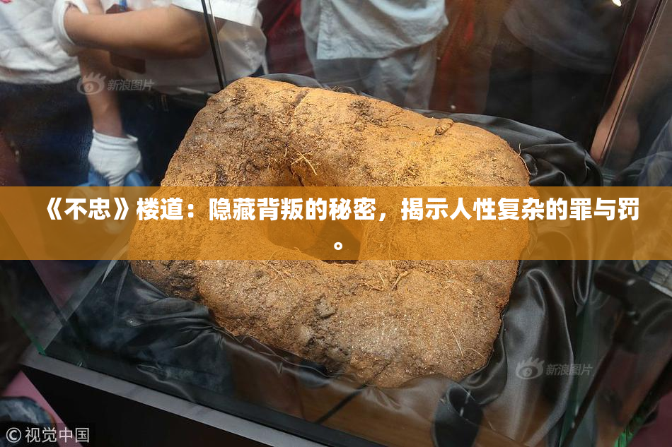 《不忠》楼道：隐藏背叛的秘密，揭示人性复杂的罪与罚。