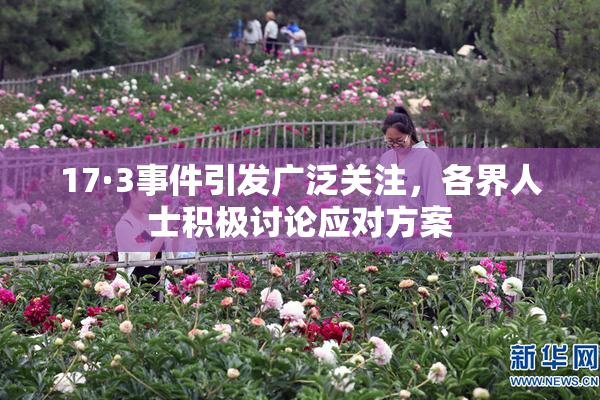 17·3事件引发广泛关注，各界人士积极讨论应对方案