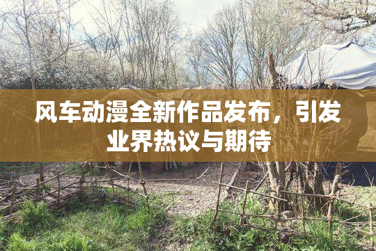 风车动漫全新作品发布，引发业界热议与期待