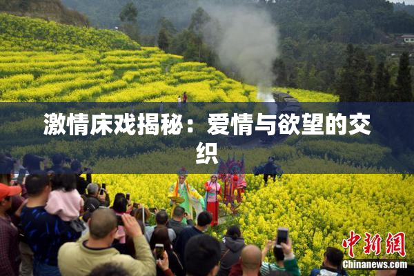激情床戏揭秘：爱情与欲望的交织