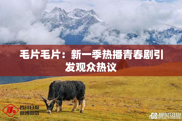 毛片毛片：新一季热播青春剧引发观众热议