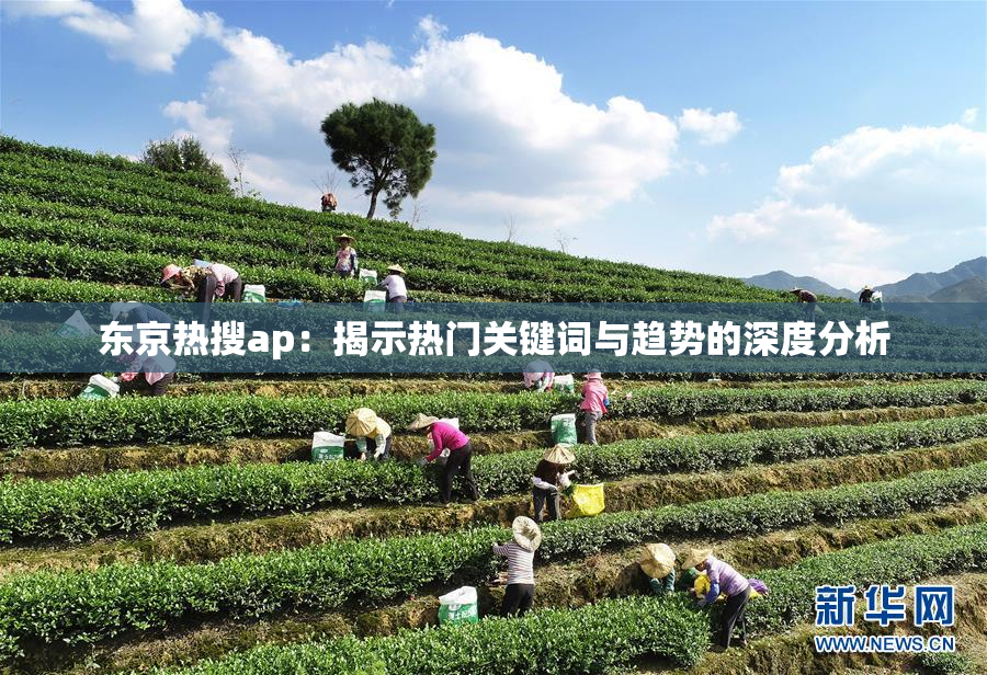 东京热搜ap：揭示热门关键词与趋势的深度分析