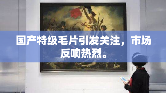 国产特级毛片引发关注，市场反响热烈。