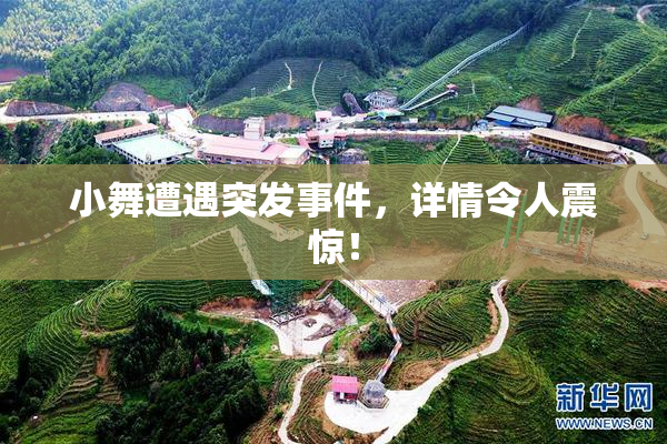 小舞遭遇突发事件，详情令人震惊！