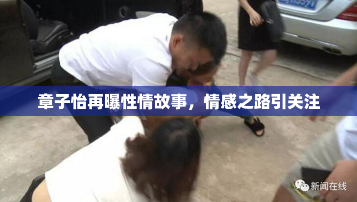 章子怡再曝性情故事，情感之路引关注