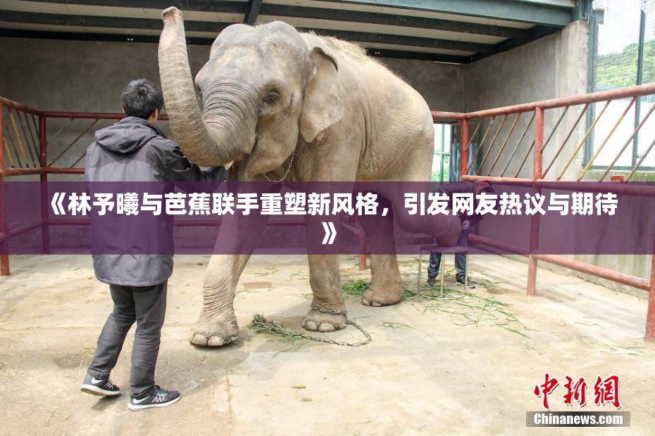 《林予曦与芭蕉联手重塑新风格，引发网友热议与期待》