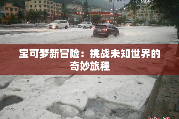 宝可梦新冒险：挑战未知世界的奇妙旅程