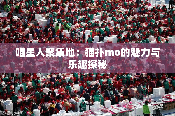 喵星人聚集地：猫扑mo的魅力与乐趣探秘