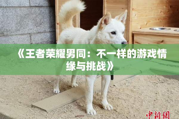 《王者荣耀男同：不一样的游戏情缘与挑战》