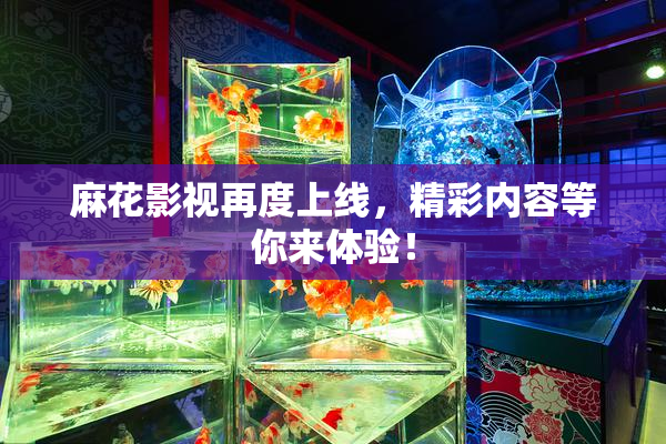 麻花影视再度上线，精彩内容等你来体验！