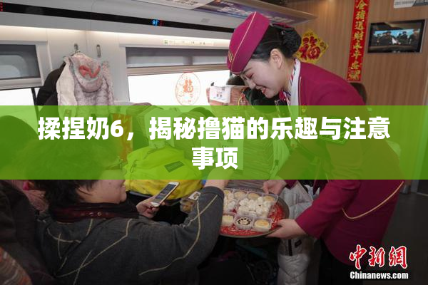 揉捏奶6，揭秘撸猫的乐趣与注意事项