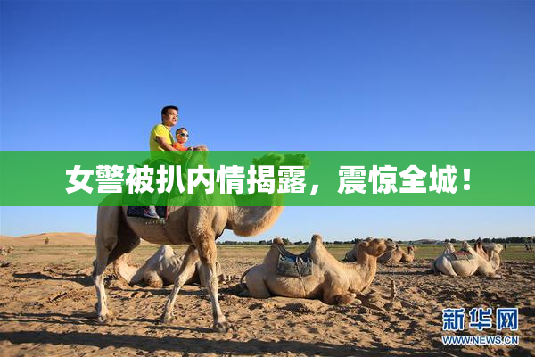 女警被扒内情揭露，震惊全城！