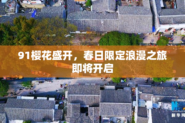 91樱花盛开，春日限定浪漫之旅即将开启