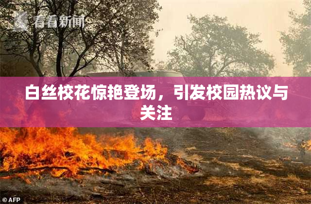 白丝校花惊艳登场，引发校园热议与关注