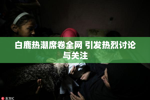 白鹿热潮席卷全网 引发热烈讨论与关注