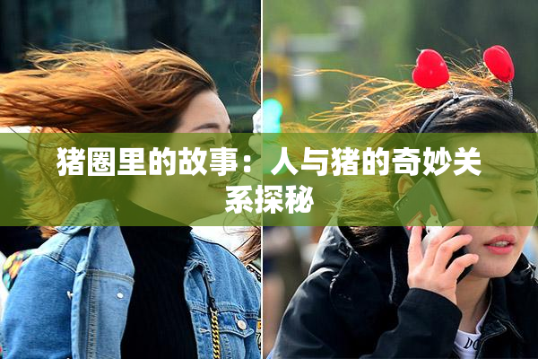 猪圈里的故事：人与猪的奇妙关系探秘