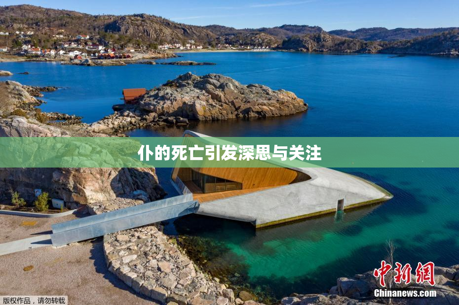 仆的死亡引发深思与关注