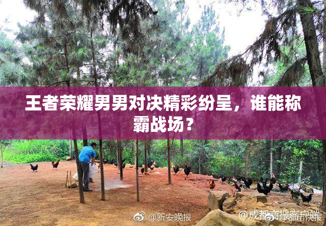 王者荣耀男男对决精彩纷呈，谁能称霸战场？