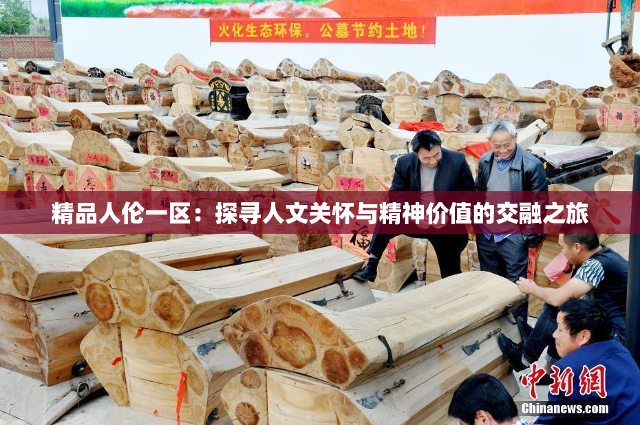 精品人伦一区：探寻人文关怀与精神价值的交融之旅