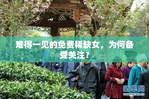 难得一见的免费稀缺女，为何备受关注？