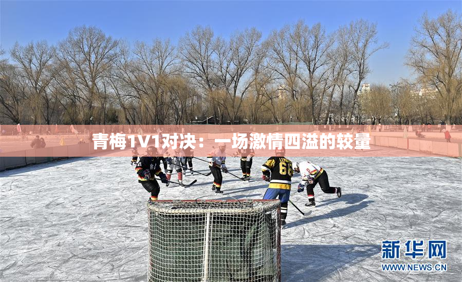 青梅1V1对决：一场激情四溢的较量