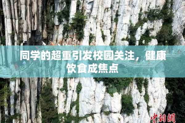 同学的超重引发校园关注，健康饮食成焦点