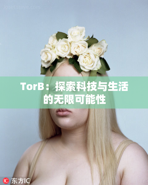 TorB：探索科技与生活的无限可能性