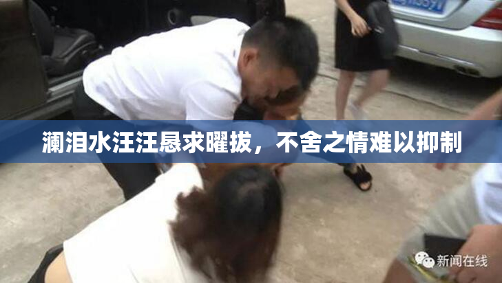 澜泪水汪汪恳求曜拔，不舍之情难以抑制