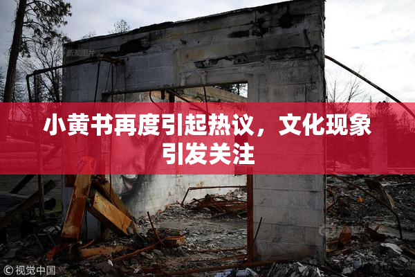 小黄书再度引起热议，文化现象引发关注