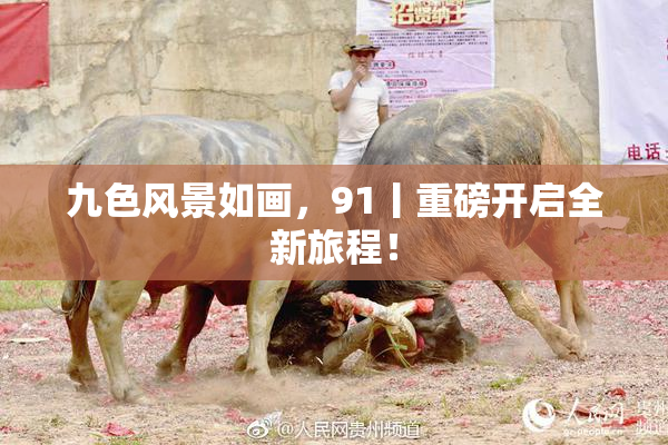 九色风景如画，91丨重磅开启全新旅程！