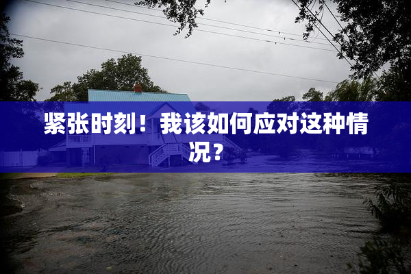 紧张时刻！我该如何应对这种情况？
