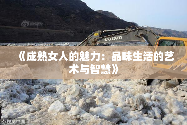 《成熟女人的魅力：品味生活的艺术与智慧》