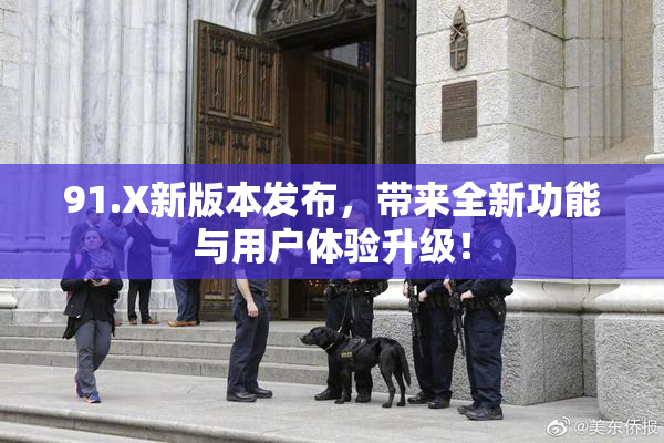91.X新版本发布，带来全新功能与用户体验升级！