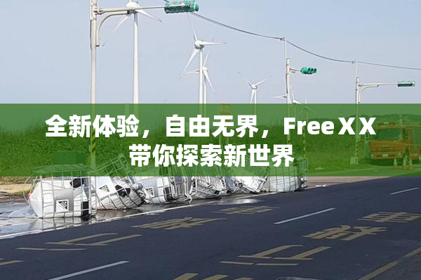 全新体验，自由无界，FreeⅩX带你探索新世界
