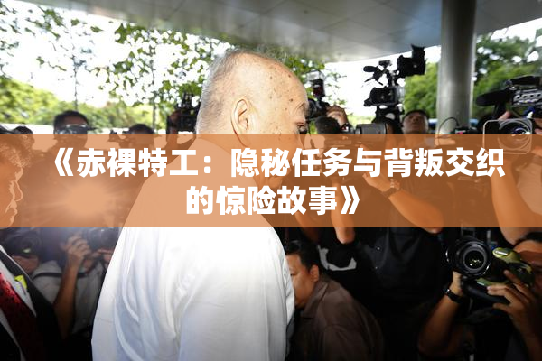 《赤裸特工：隐秘任务与背叛交织的惊险故事》