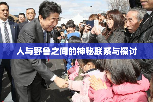 人与野鲁之间的神秘联系与探讨