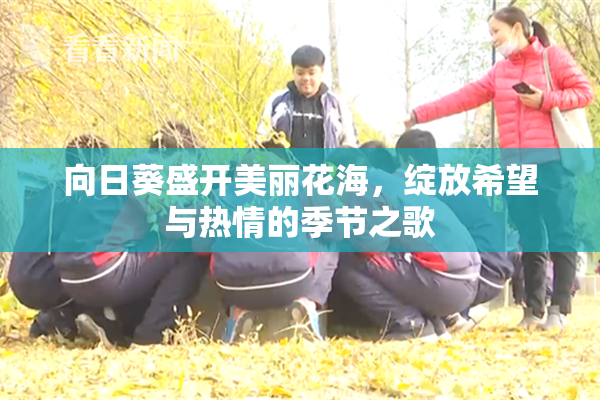 向日葵盛开美丽花海，绽放希望与热情的季节之歌