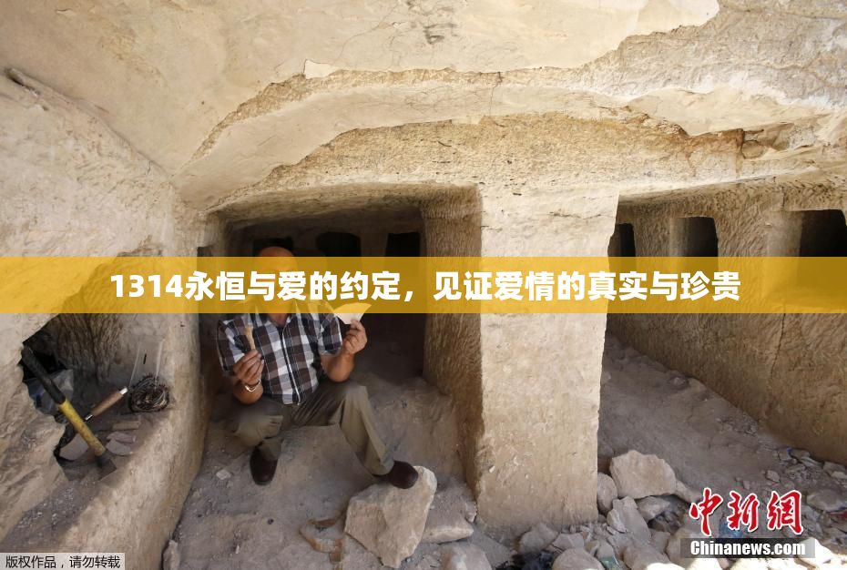 1314永恒与爱的约定，见证爱情的真实与珍贵