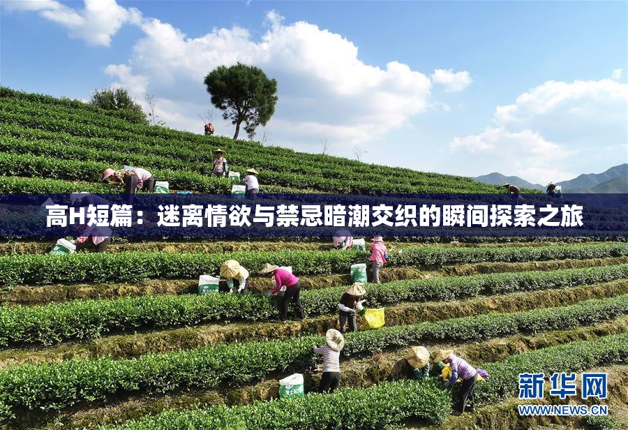 高H短篇：迷离情欲与禁忌暗潮交织的瞬间探索之旅