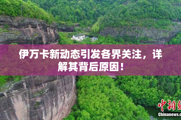 伊万卡新动态引发各界关注，详解其背后原因！