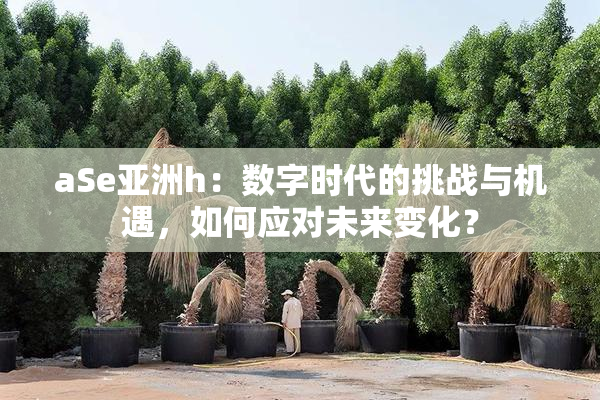 aSe亚洲h：数字时代的挑战与机遇，如何应对未来变化？